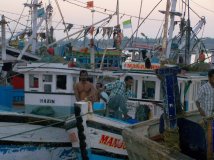 India - Blocco del Porto di Mangalore da parte del South Indian farmers and fish-workers 