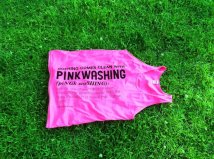 La legge contro la violenza di genere? Un’operazione di pinkwashing!