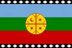 bandiera mapuche