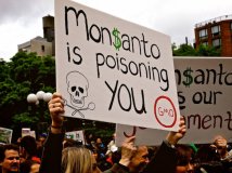 Monsanto 1