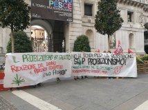 Padova - Proposte alternative al proibizionismo  