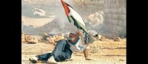 Sguardi sulla Palestina: quando l'arte diventa resistenza