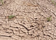 La siccità tra cambiamenti climatici e quotidiane emergenze