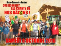 Francia - Il canto dei bastoni a notre-dame-des-landes