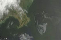 Chiazza nel Golfo Messico