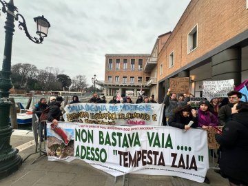 Dopo il taglio del lariceto a Cortina: contro-conferenza stampa sotto la Regione Veneto