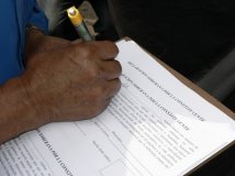 Honduras - Raccolta firme