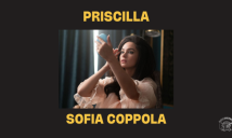 Venezia 80 Priscilla