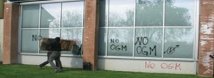Treviso - Una battaglia vinta: chiude il laboratorio OGM a Ca'Tron 