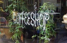 Negli Usa Apre il primo coffee shop Marijuana solo a scopo terapeutico